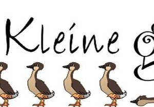 Gansies doen dit weer!